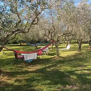 Gabriela Appartamento Porec